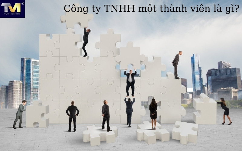 Điều kiện thành lập công ty TNHH một thành viên