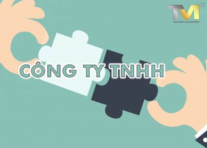 Nên thành lập công ty cổ phần hay công ty TNHH