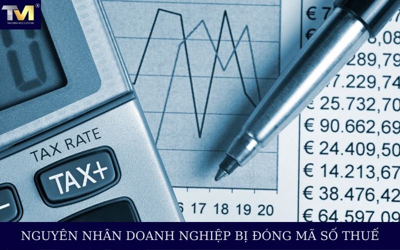 Nguyên nhân doanh nghiệp bị đóng mã số thuế